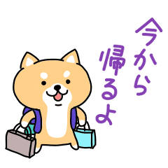 しばいぬさん 日常編 Vol 2 Line スタンプ Line Store