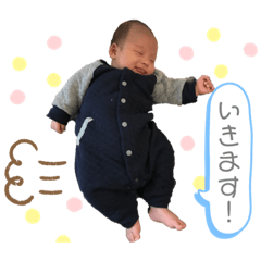 Shibazo_20201227020914
