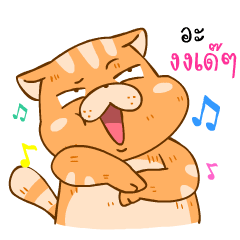 YoYo Cat (TH)