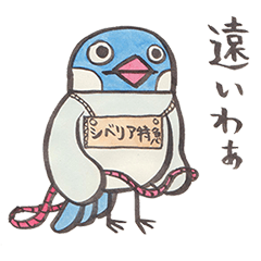 Daily soliloquence of Java sparrow