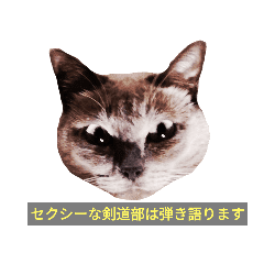 剣道 Lineクリエイターズスタンプまとめ Stamplist 剣道 Lineクリエイターズスタンプまとめ Stamplist