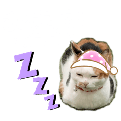 ayumi_20201227122252