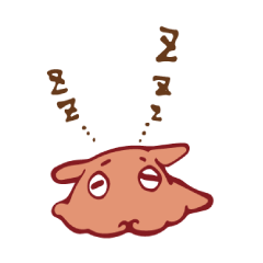 Pancake devilfish which sleeps well