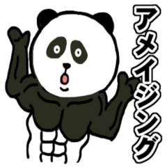 The Muscle Panda special Vol.1