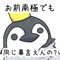 無表情なペンギン Line スタンプ Line Store 無表情なペンギン Line スタンプ Line Store