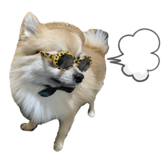 koooto_20201227100006