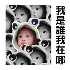 侖侖是小呆鵝 .