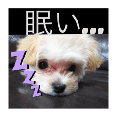 ken_20201227150439