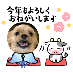suzu_20201227185450