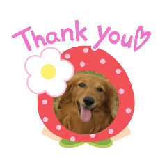 mizuki_20201227203621