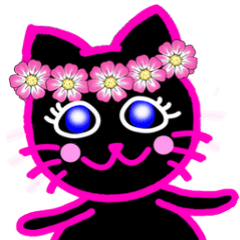 Pinky Blackcat 4