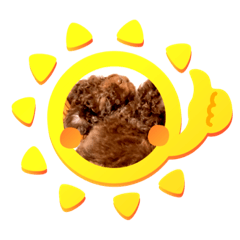 HIYORI_20201228001629