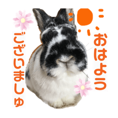 Housemate of Chiyochan_20201227215300