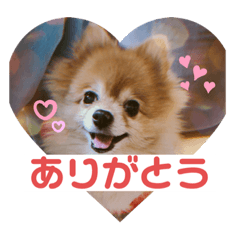 NATSUMI_20201227202952