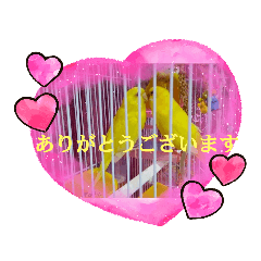 Miki_20201228002248