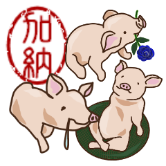 Kano's pigs of the happiness