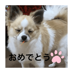 hana_20201228125425