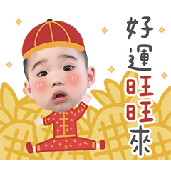 宸宸新年快樂圖
