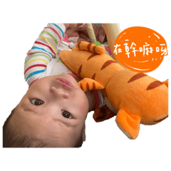 小百威的日常生活