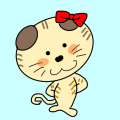 Konatsu the cat