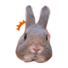 NANAMI_20201228145519