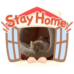 yukari_20201228151504