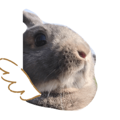 NANAMI_20201228145930