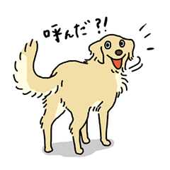 Golden retriever sticker Clearance