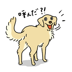 Cute Golden Retriever Sticker