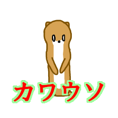 Otters?