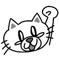shiro -Japanese cat-