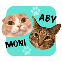 ABBEY & MONICA 's CAT Stickers