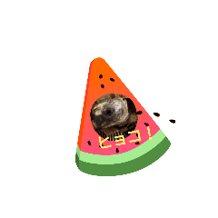 cherry_20201228222129