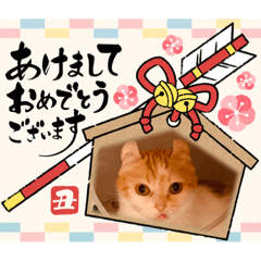 yukari_20201228225454