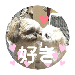 chisa_20201228225626