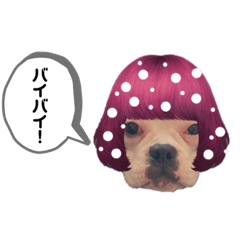 chihiro_20201228215209