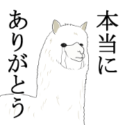 Crying Animal