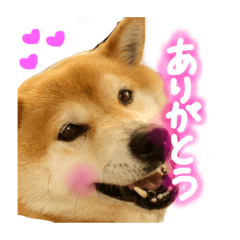 hana_20201228203414