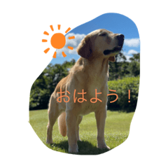 chihiro_20201228225555