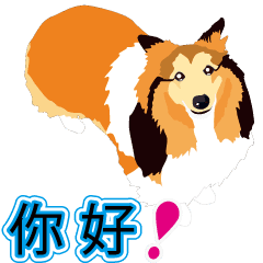 moves!Vibrant Sheltie