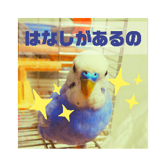 yoshiby_20201229100103