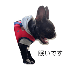 mizuki_20201229031328