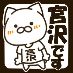 MIYAZAWA-cat