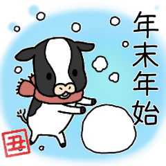 New Year's greeting cow