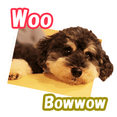 Woo Bow-wow 1