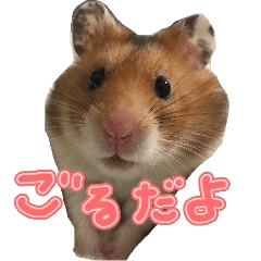 Hamster Goru