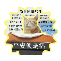 悠閒的窩