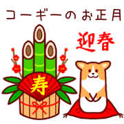 Corgi happy new year!