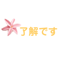 nonta_20201229125150hana