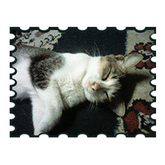 Lala Si Kucing Vol 1 (Sticker)